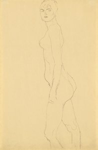 Nu tourné vers la gauche - Gustav Klimt